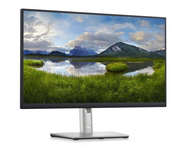 DELL OEM 23.8 inch P2422H Professional IPS monitor  MONITORI